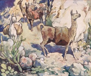 Alpacas num caminho de montanha, ilustração de 