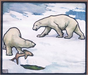 Urso polar de John Edwin Noble