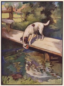 O Cão e a Sombra (cor litho) de John Edwin Noble