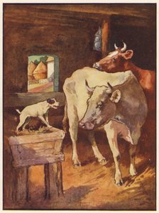 O Cão no Guarda (cor litho)