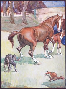 O Mare Lifted Her Hoof, ilustração de Reynard the Fox, de Animal Legends de Many Lands, publicado por Raphael Tuck & Sons Ltd. de John Edwin Noble