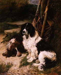 Marrom e Branco e Preto e Branco Spaniel de John Emms