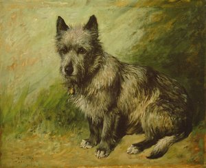 Farrapos de John Emms