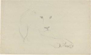 Leoa de John Flaxman