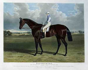 "Bloomsbury", o vencedor do Derby Stakes na Epsom