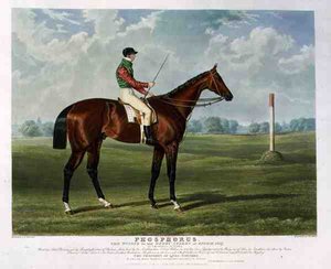Phosphorus, o vencedor do Derby Stakes em Epsom