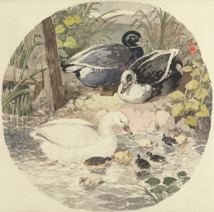Patos