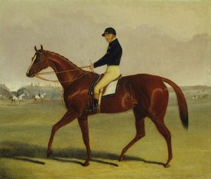 Preserve com a Flatman Up na Newmarket