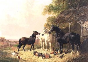 O Estaleiro da Fazenda