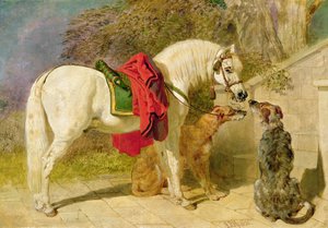 Os animais de estimação do escudeiro