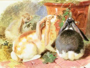 Um Estudo de Três Coelhos Orelhudos de John Frederick Herring Senior