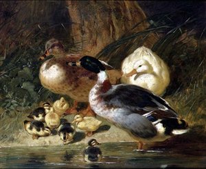 Patos e Patinhos de John Frederick Herring Senior