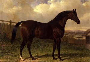 "Emilius", um cavalo de corrida de baía num paddock. de John Frederick Herring Senior