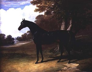 Gaucus, um cavalo louro escuro em uma paisagem arborizada (óleo sobre tela) de John Frederick Herring Senior