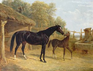Levity, a propriedade de JCCockerill Esq., Com seu potro Queen Elizabeth, a propriedade de Lord Dorchester, 1843