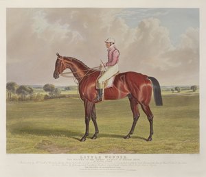 &39;Little Wonder&39;, o vencedor do Derby Stakes em Epsom, 1840, gravado por Charles Hunt (1803-77), pub. por S. und J. Fuller, 1840 (aquatinta) de John Frederick Herring Senior