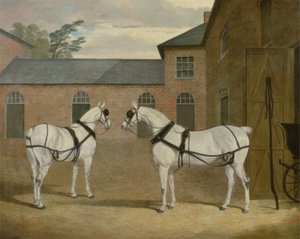 Cavalos Cinzentos de Carruagem do Sr. Sowerby no seu estaleiro em Putteridge Bury, Hertfordshire, 1836