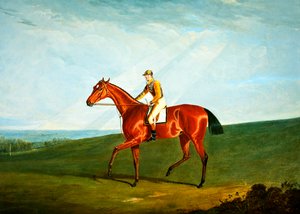 Anellet com J. Jackson Up, c.1823 (óleo sobre tela) de John Frederick Herring Senior