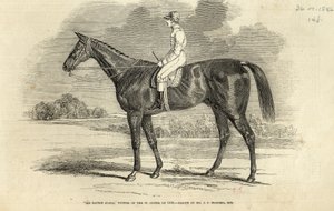Sir Tatton Sykes, vencedor do St. Leger, de The Illustrated London News, 26 de setembro de 1846 de John Frederick Herring Senior