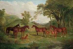 O parafuso prisioneiro de Streatlam, éguas e potros, 1836