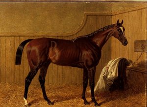 "Touchstone", um cavalo de corrida na baía, numa caixa solta. de John Frederick Herring Senior