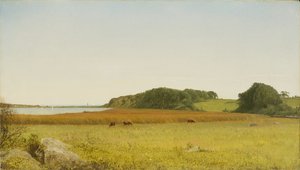 Lagoa de Almy, Newport de John Frederick Kensett