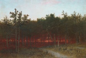 Crepúsculo nos cedros em Darien, Connecticut de John Frederick Kensett