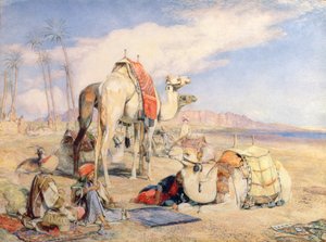 Uma parada no deserto