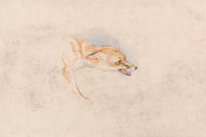 Estudo de uma raposa agachada, virada para a direita de John Frederick Lewis