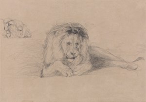 Estudo de um Leão e Estudo de uma Cabeça de Leão de John Frederick Lewis