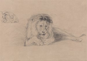 Estudo de um leão e estudo de uma cabeça de leoa de John Frederick Lewis