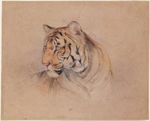 Tigre de John Frederick Lewis