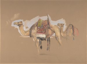 Dois camelos, c. 1843. de John Frederick Lewis