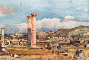 Olympia. A Palaestra e Restos do Templo de Zeus de John Fulleylove