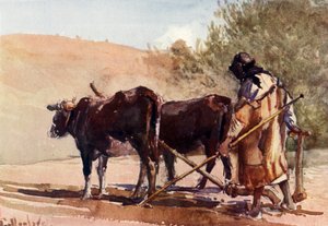 Arando no Monte das Oliveiras, 1902.
