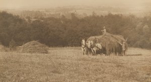 Carregamento de feno,1890-1900 (foto) de John G. Bullock