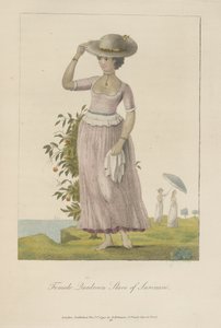 Escrava quadroon do Suriname de John Gabriel Stedman
