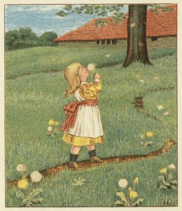 Sementes de dentes-de-leão (cor litho)