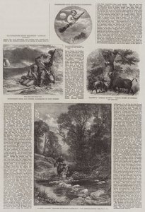 Ilustrações da Caça Africana de Baldwin