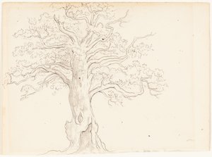  de John Glover