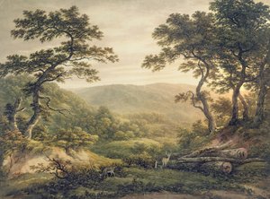 Needlewood Forest, Hampshire (aquarela sobre papel) de John Glover