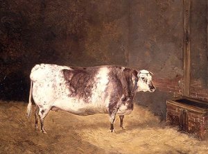Vaca Shorthorn de John Goode