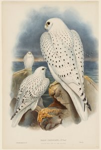  de John Gould