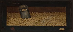Fresco Torrado (Amendoins)