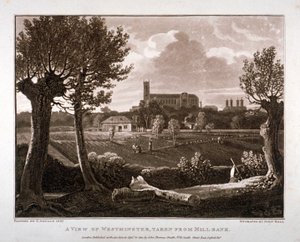 Vista de Westminster olhando de Millbank, Londres, 1807 de John Hall