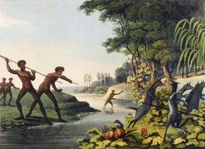 Caçando o canguru, aborígines em Nova Gales do Sul gravada por Matthew Dubourg (fl.1813-1820) 1813