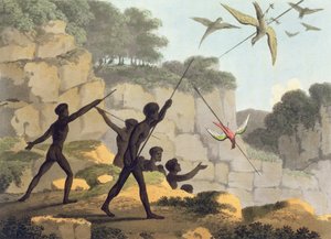 Jogando a lança, os aborígenes caçam pássaros de Novo Gales do Sul gravados pelo bar de Matthew Dubourg (f.1813-1820). 1813