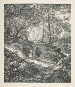 Placa 26. Caminhando por uma madeira, de 