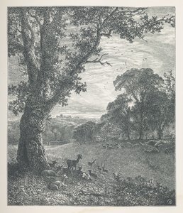 Placa 3. Cervo em volta de uma árvore.  Fotos da Natureza. Uma série de trinta ilustrações originais desenhadas em madeira por J. H. Dell e gravadas por R. Paterson.  John Henry Dell