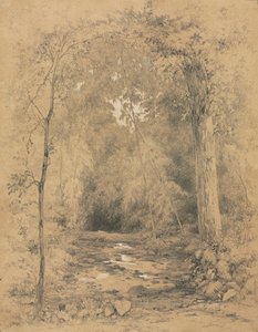 Interior da floresta, c. 1870